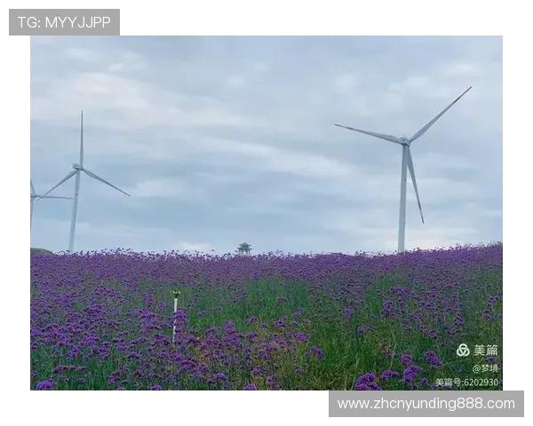 吉隆坡云顶旅游最佳时间及天气情况分析帮助你合理安排出行计划