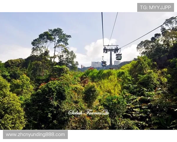 吉隆坡云顶索道的环保措施与未来发展规划关注可持续旅游的绿色出行理念