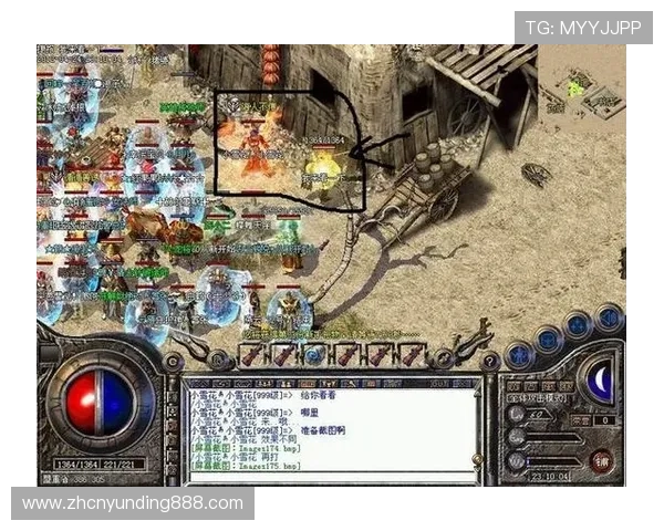 金鲨银鲨官网注册流程详解，帮助新手玩家快速上手游戏体验