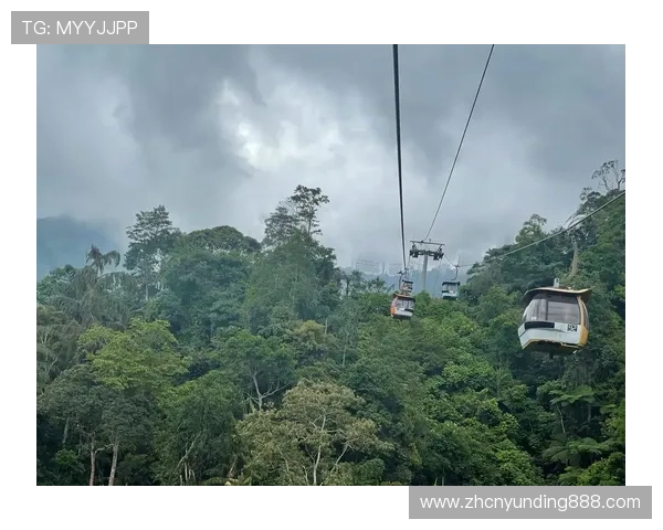 马来西亚云顶股份推动本地旅游业发展的重要作用与贡献